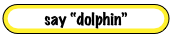 say “dolphin”